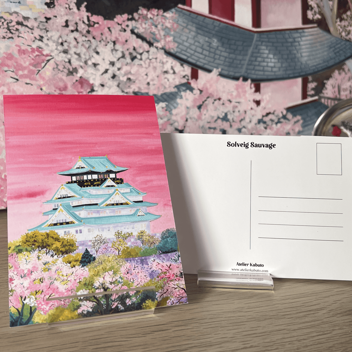 The Cherry Blossoms of Osaka Castle